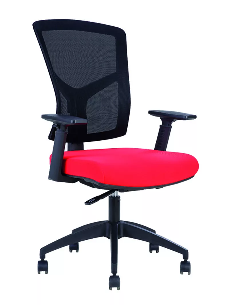 Fauteuil de Bureau Ergonomique Canis - M&eacute;canisme Synchrone