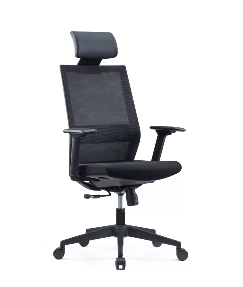 Fauteuil de bureau ergonomique Dragon - M&eacute;canisme synchrone et soutien lombaire