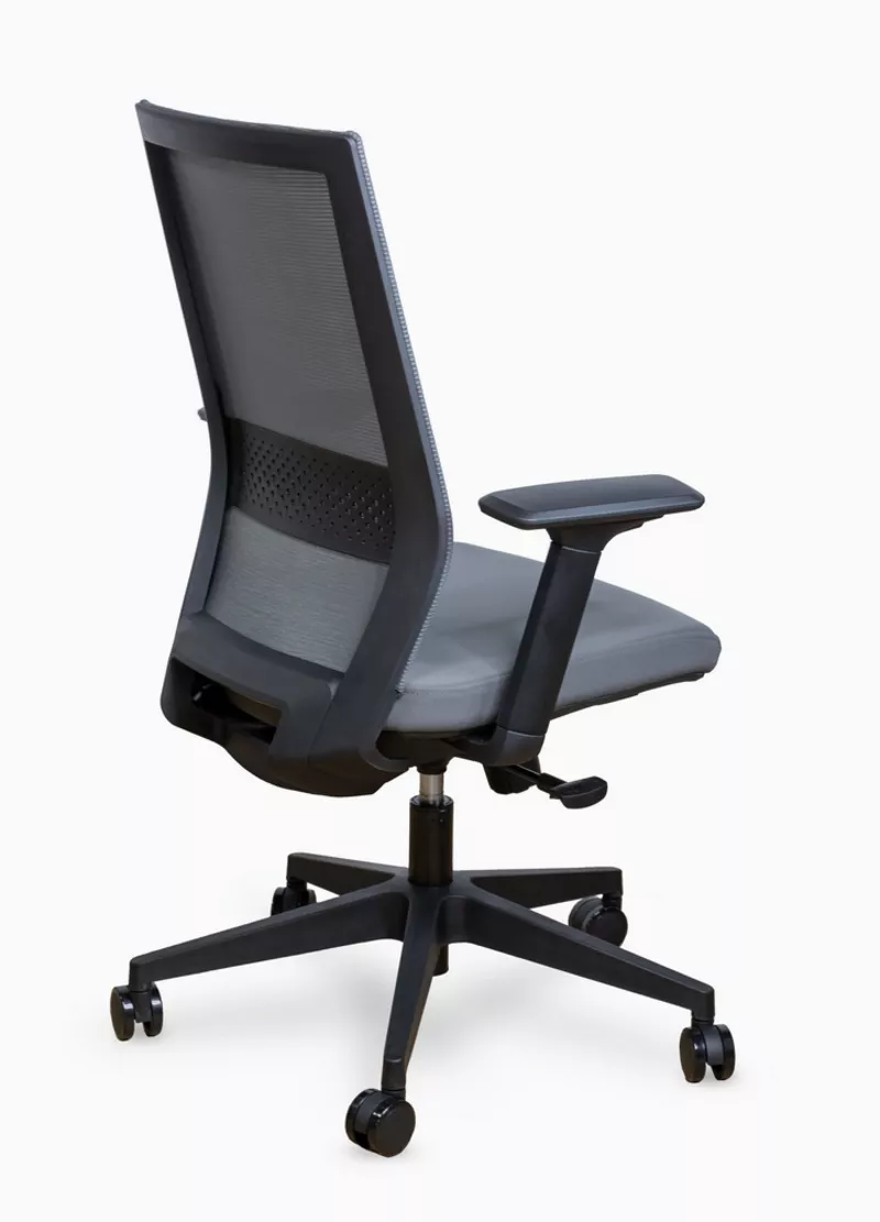 Fauteuil de bureau ergonomique Dragon - Mécanisme synchrone et soutien lombaire