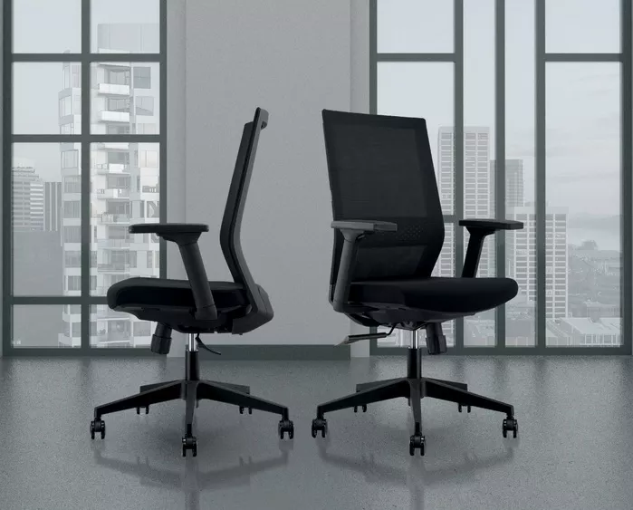 Fauteuil de bureau ergonomique Dragon - Mécanisme synchrone et soutien lombaire