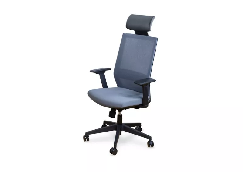 Fauteuil de bureau ergonomique Dragon - Mécanisme synchrone et têtière