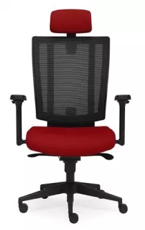 Fauteuil de bureau ergonomique ERGOFLEX