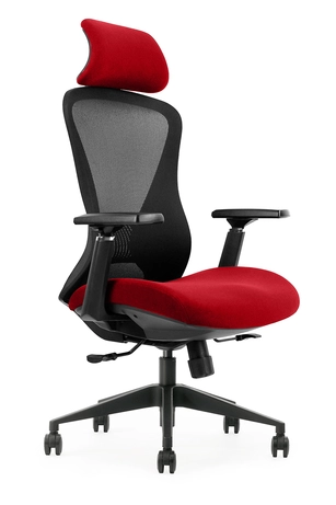 Fauteuil de bureau ergonomique ERGOSOFT