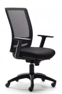 Fauteuil de bureau ergonomique Evo Express