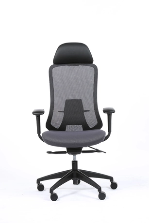 Fauteuil de bureau ergonomique FORM