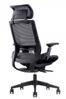 Fauteuil de bureau ergonomique Lacerta - Mécanisme synchrone et têtière