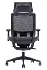 Fauteuil de bureau ergonomique Lacerta - Mécanisme synchrone et têtière