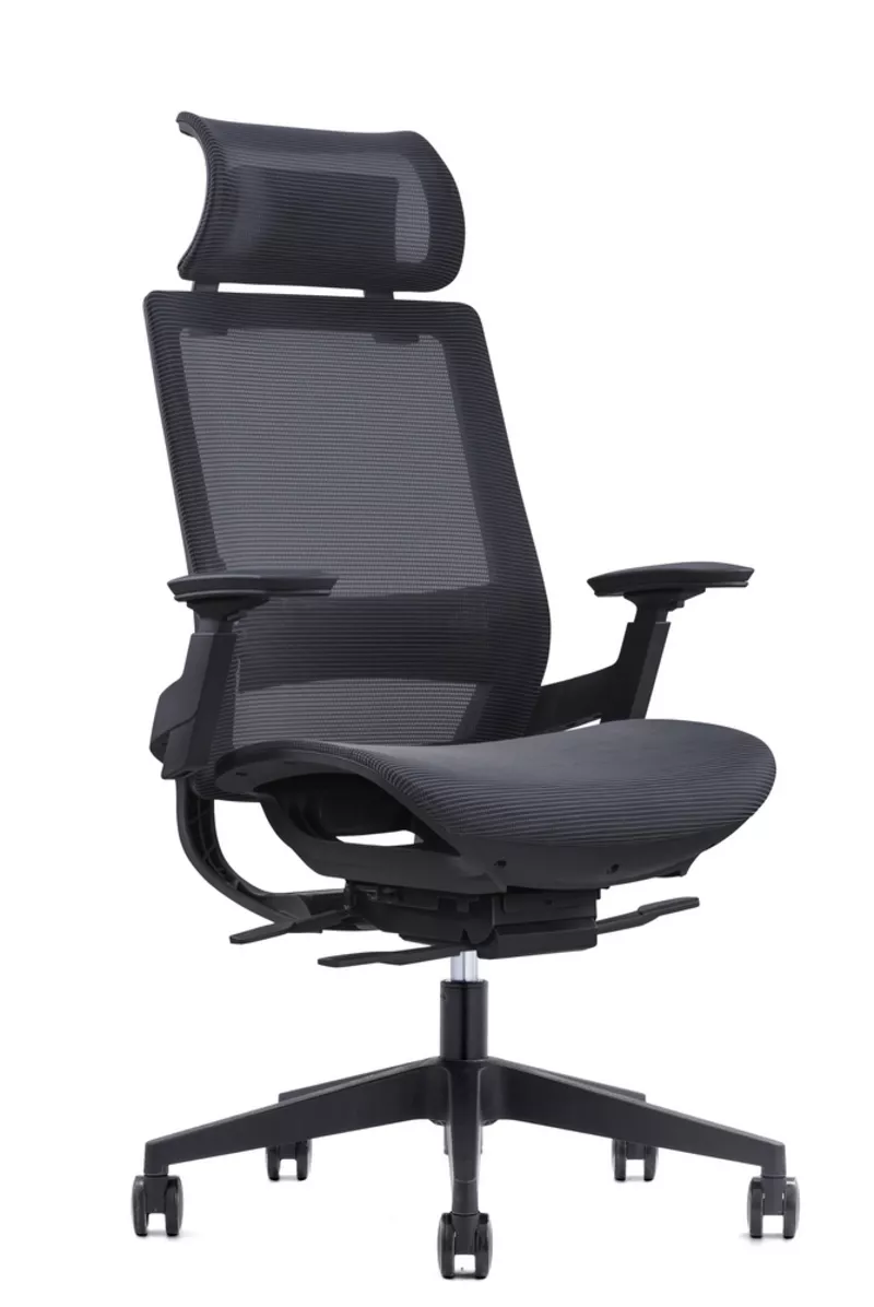 Fauteuil de bureau ergonomique Lacerta - Mécanisme synchrone et têtière