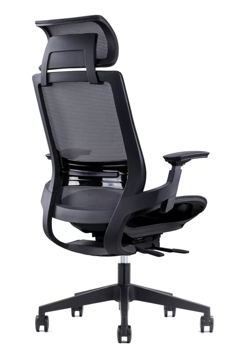 Fauteuil de bureau ergonomique Lacerta - Mécanisme synchrone et têtière