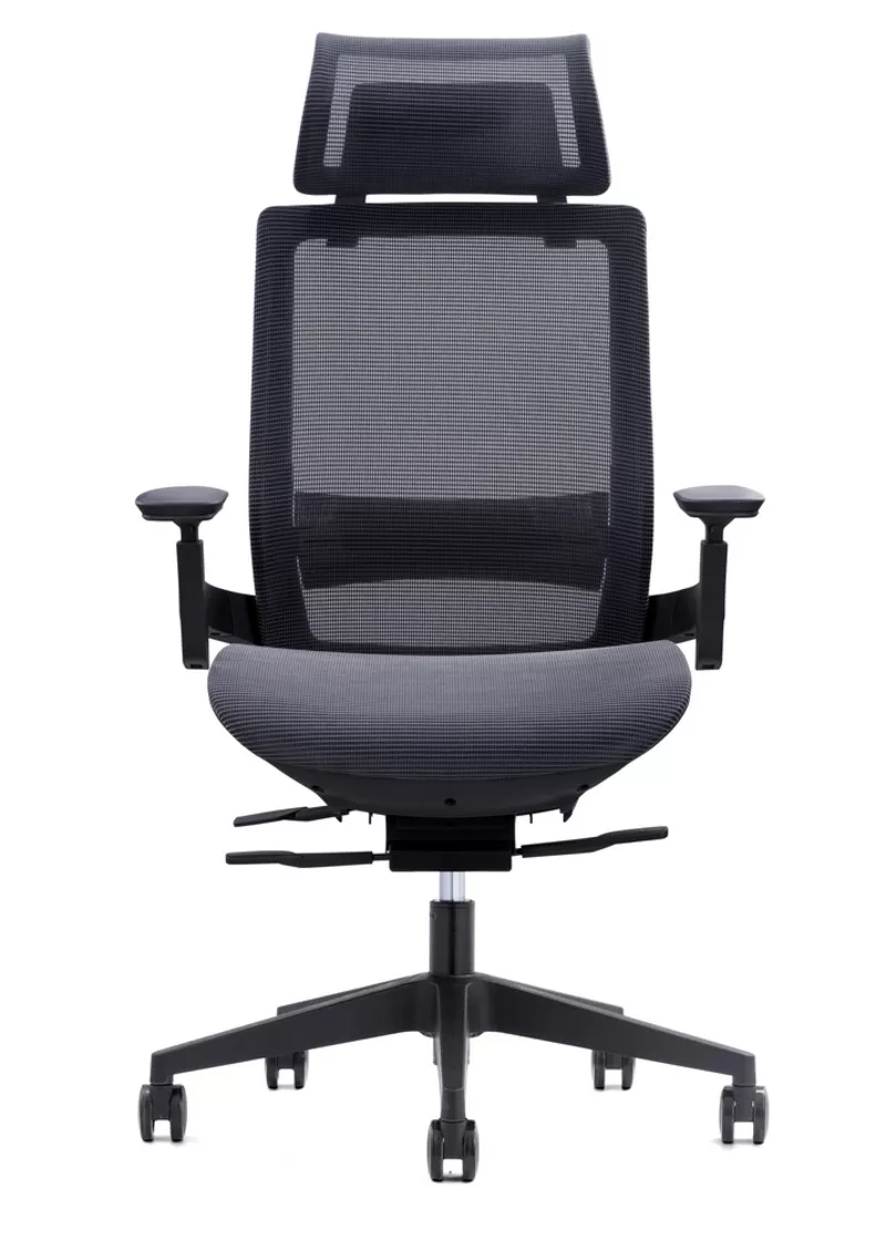 Fauteuil de bureau ergonomique Lacerta - Mécanisme synchrone et têtière
