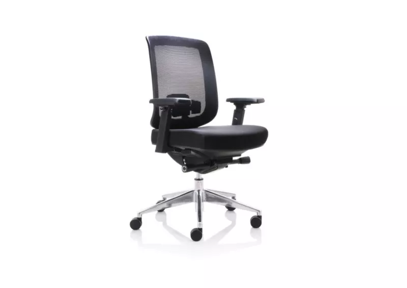 Fauteuil de Bureau Ergonomique Léo - Mécanisme Synchrone et Accoudoirs 4D