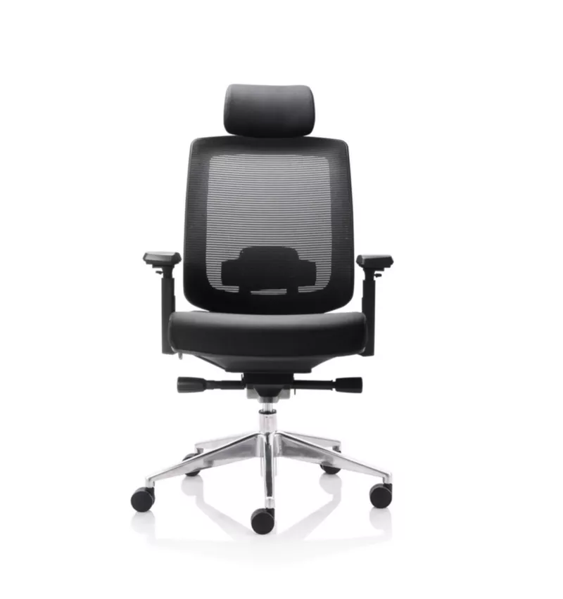 Fauteuil de Bureau Ergonomique Léo - Mécanisme Synchrone et Accoudoirs 4D