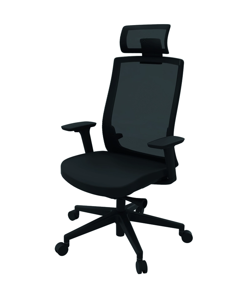 Fauteuil de bureau ergonomique Mayflower