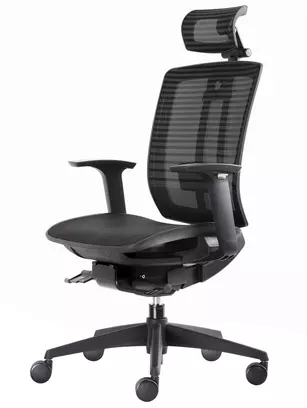 Fauteuil de bureau ergonomique Sagitta : Mécanisme Synchrone Donati Haute Performance