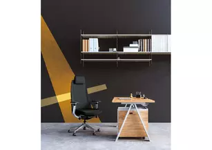 Fauteuil de bureau ergonomique SHAM