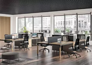 Fauteuil de bureau ergonomique Totem Noir - Structure noire