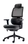 Fauteuil de bureau ergonomique Ursa - Mécanisme synchrone