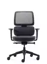 Fauteuil de bureau ergonomique Ursa - Mécanisme synchrone