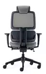 Fauteuil de bureau ergonomique Ursa - Mécanisme synchrone