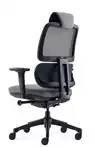 Fauteuil de bureau ergonomique Ursa - Mécanisme synchrone