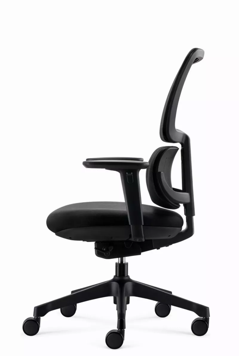 Fauteuil de bureau ergonomique Ursa - Mécanisme synchrone