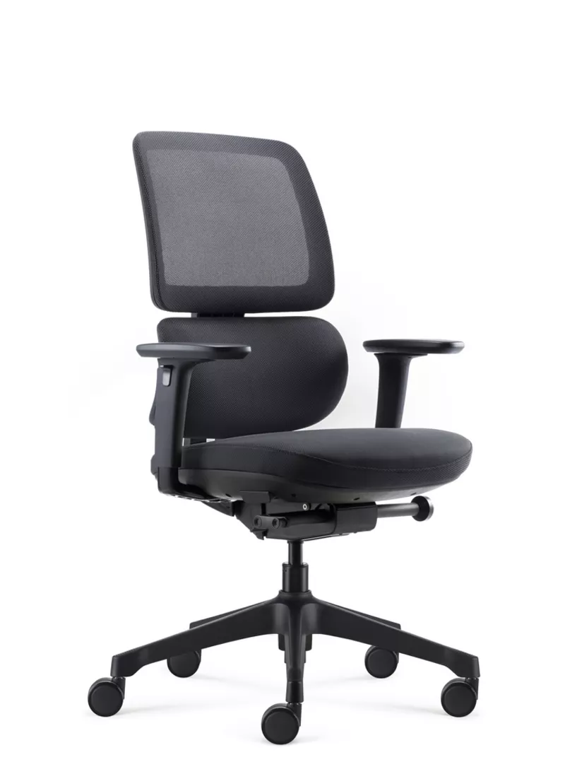 Fauteuil de bureau ergonomique Ursa - Mécanisme synchrone