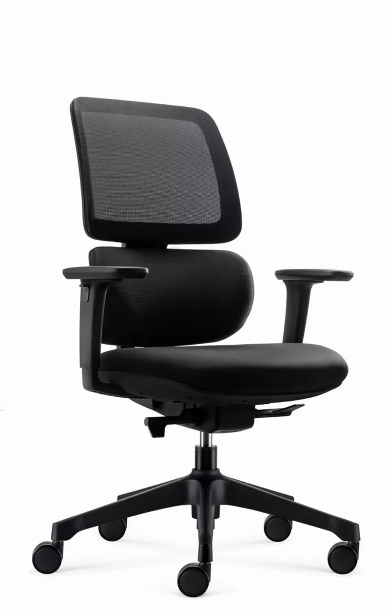 Fauteuil de bureau ergonomique Ursa - Mécanisme synchrone