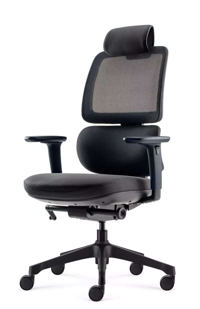 Fauteuil de bureau ergonomique Ursa - Mécanisme synchrone