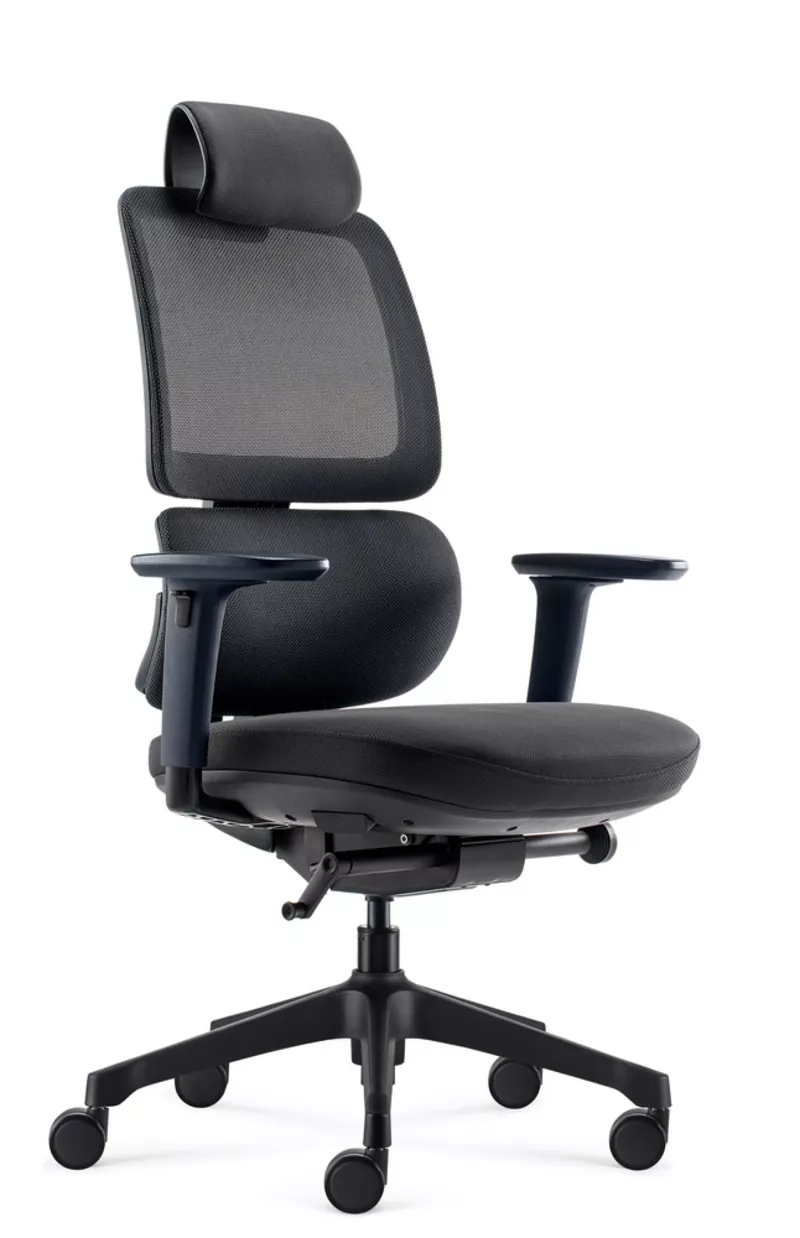 Fauteuil de bureau ergonomique Ursa - Mécanisme synchrone