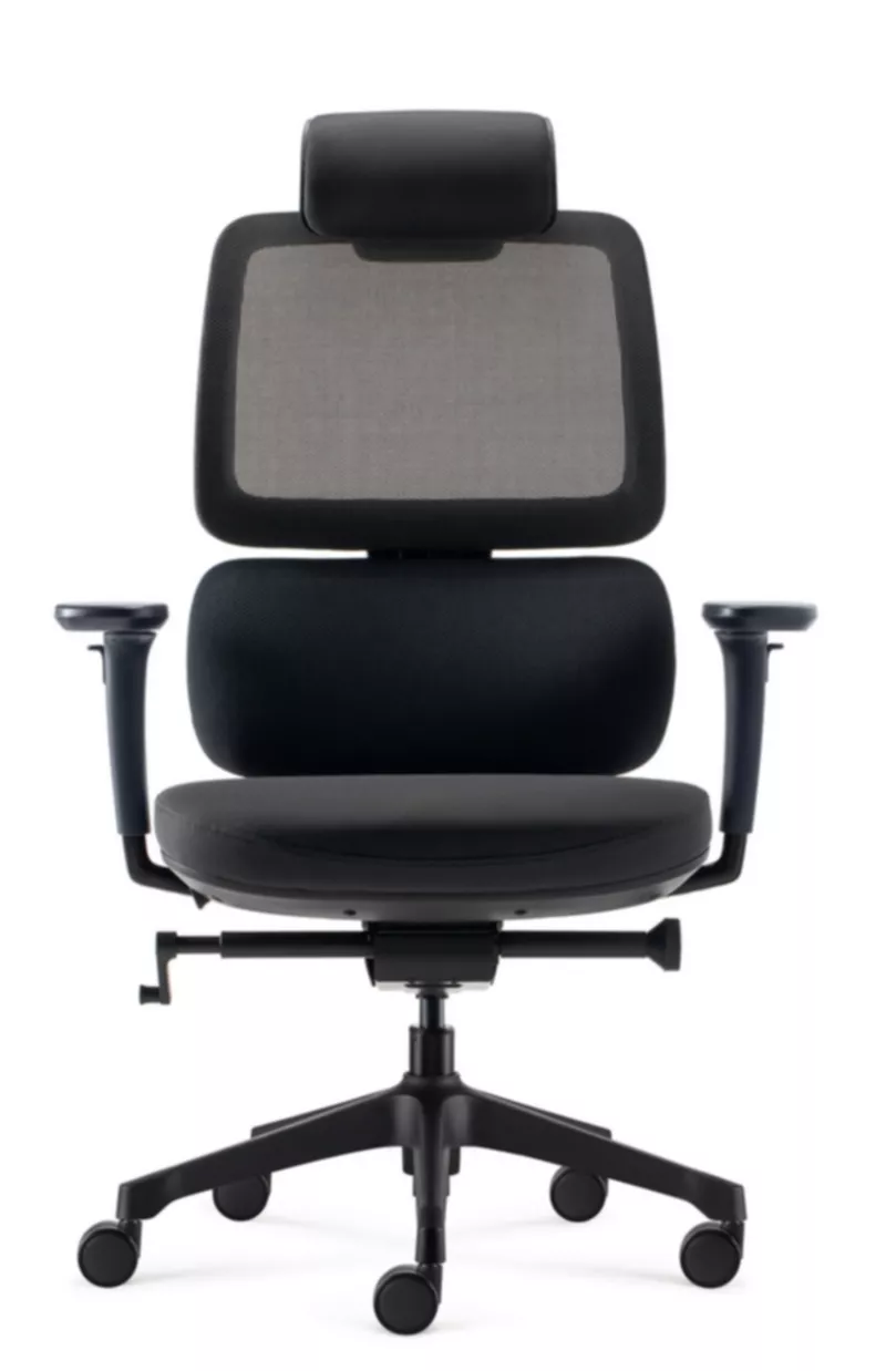 Fauteuil de bureau ergonomique Ursa - Mécanisme synchrone