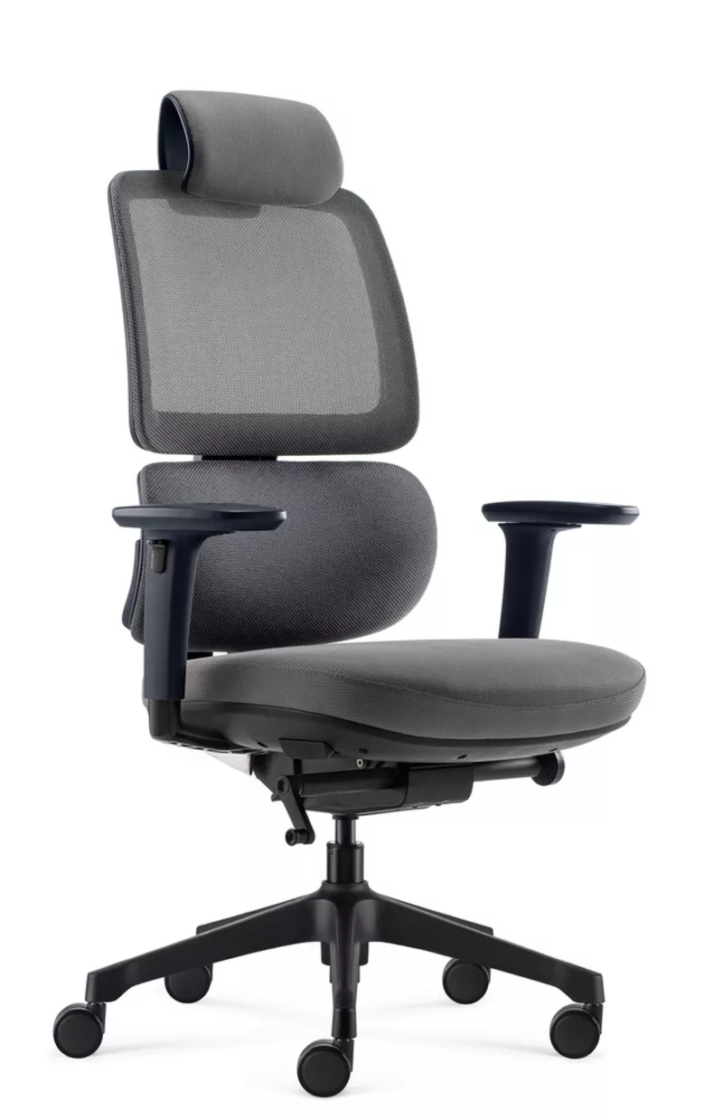 Fauteuil de bureau ergonomique Ursa - Mécanisme synchrone