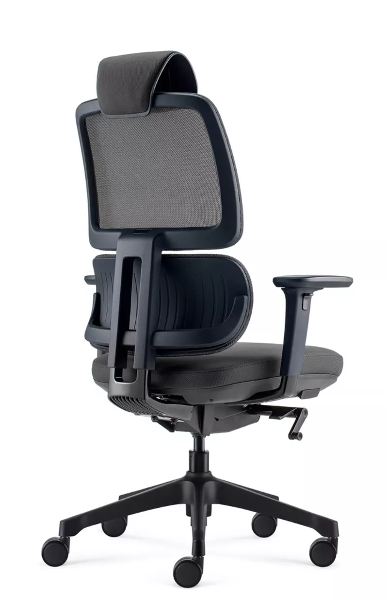 Fauteuil de bureau ergonomique Ursa - Mécanisme synchrone