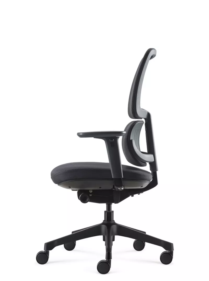 Fauteuil de bureau ergonomique Ursa - Mécanisme synchrone