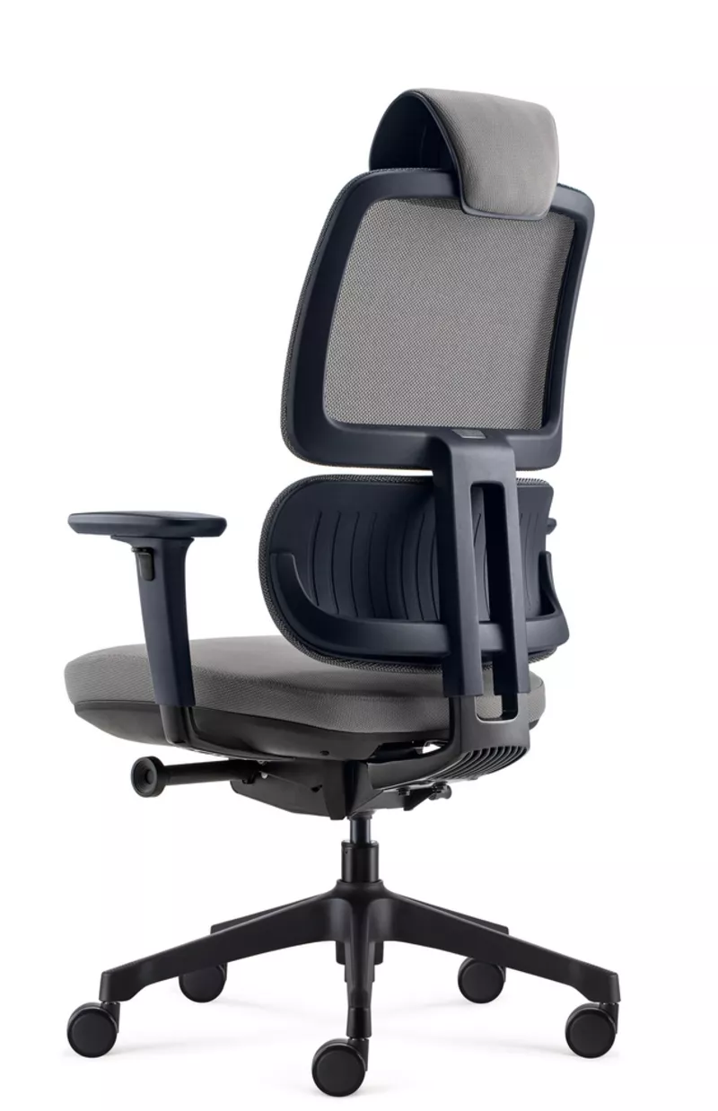 Fauteuil de bureau ergonomique Ursa - Mécanisme synchrone