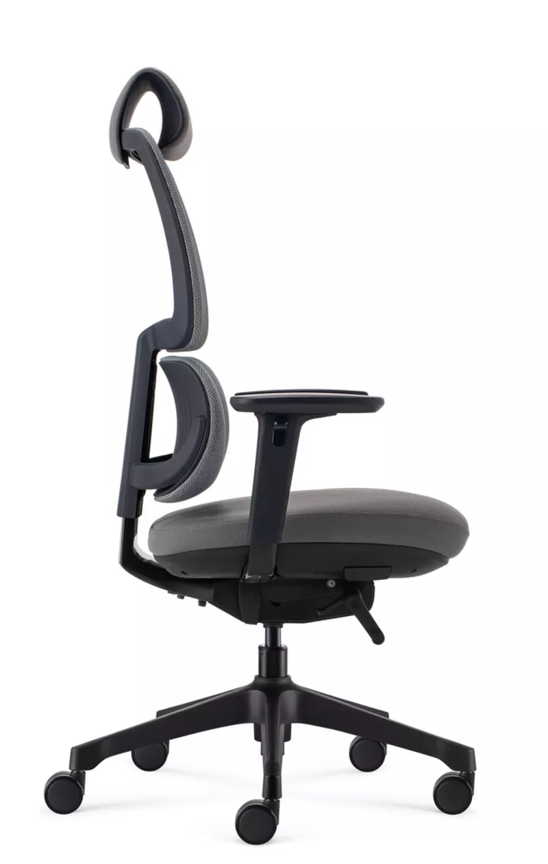 Fauteuil de bureau ergonomique Ursa - Mécanisme synchrone