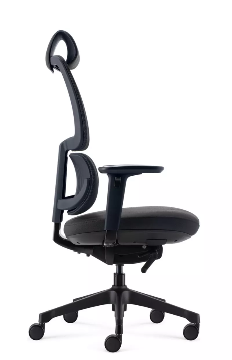 Fauteuil de bureau ergonomique Ursa - Mécanisme synchrone