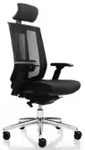 Fauteuil de Bureau Ergonomique Virgo - Mécanisme Synchrone et Accoudoirs 3D