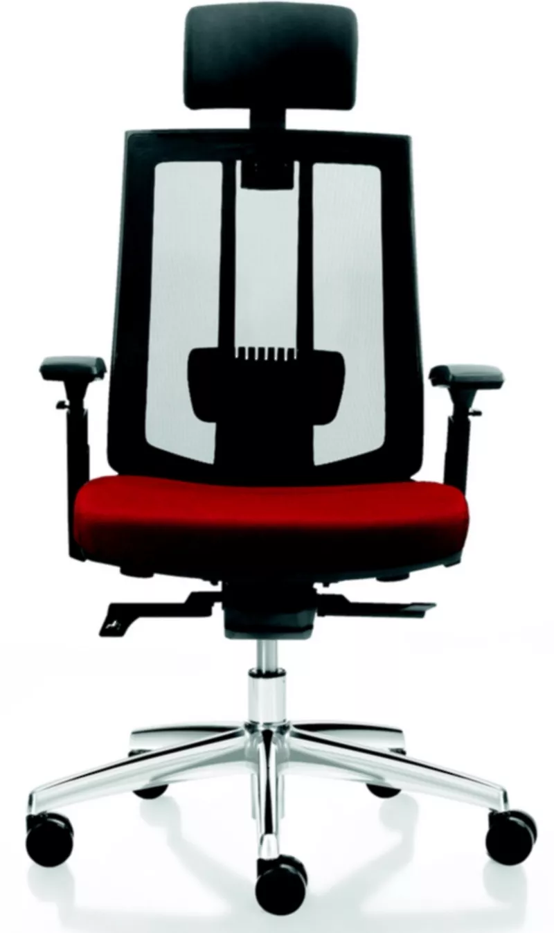 Fauteuil de Bureau Ergonomique Virgo - Mécanisme Synchrone et Accoudoirs 3D