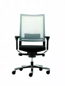Fauteuil de bureau ergonomique Xtra Chrome