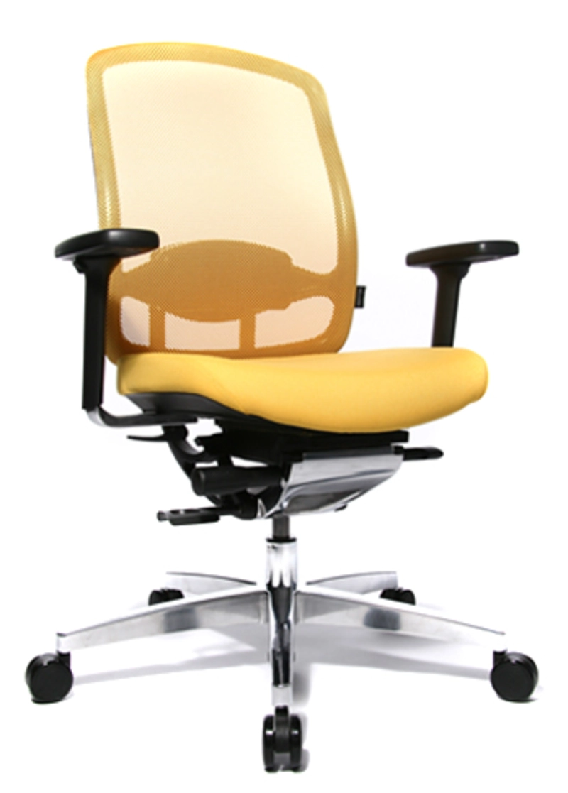 Fauteuil de bureau haut de gamme Alumedic 5