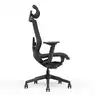 Fauteuil de bureau professionnel Kirio - M&eacute;canisme Synchrone Donati