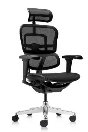 Fauteuil de Direction Ergonomique Ultra résille – La Performance 5D