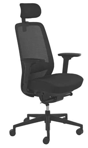 Fauteuil ergonomique Buzy avec têtière