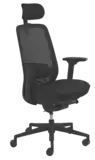Fauteuil ergonomique Buzy avec t&ecirc;ti&egrave;re
