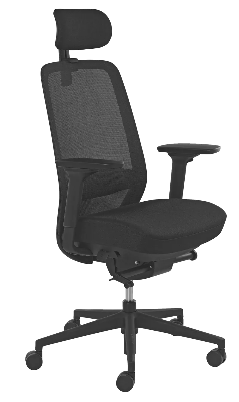 Fauteuil ergonomique Buzy avec t&ecirc;ti&egrave;re
