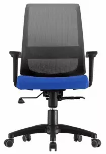 Siège de bureau ergonomique Duocolor