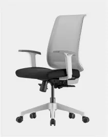 Siège de bureau ergonomique Duocolor Structure blanche