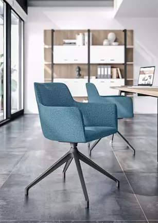 Lot de 2 fauteuils visiteur Citadium Pied Etoile pivotant