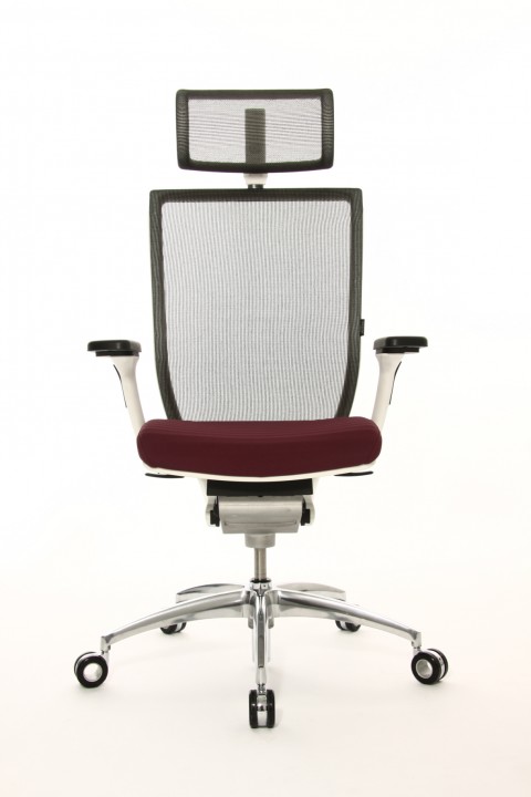 Fauteuil de bureau haut de gamme Titan 10