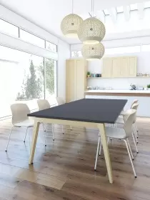 Table de réunion GENESIS